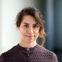 Shooka Hashemi