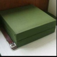 王伦军