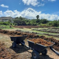 Connor Greaux-Taylor