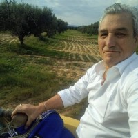 Angelo Barricelli