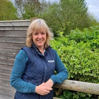 Vicki Tripney