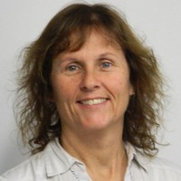 Cindy Hull