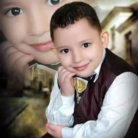 Wael Sheded