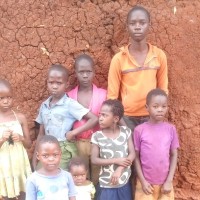 Noah's Ark Foundation