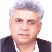 mohammad kamali