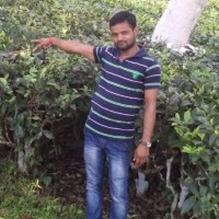 Sandip Tiwari