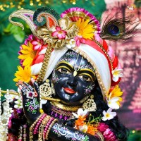 Jayakumar D