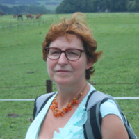 Ann Vlieghe