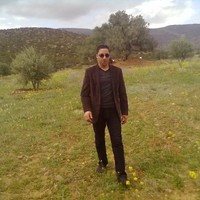 Amar Fegriche