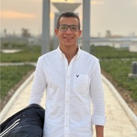 Mohab Alaa