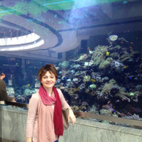 Songül Döğüşgen