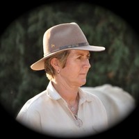 Andréa Kober