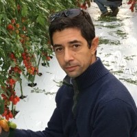 Rosario Cimellaro