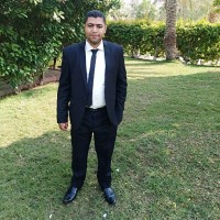 Mohamed Ahmed Mahmoud