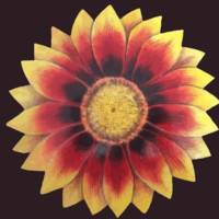 Fauna Flora Artwork