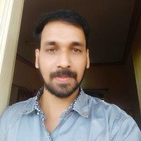 Vineesh P V