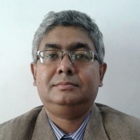 parthasarathi paul