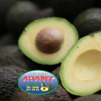 Cesar Oswaldo Sanchez Magaña