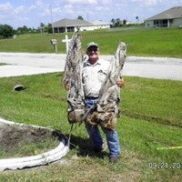 Ed Harless