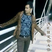 mehdi n