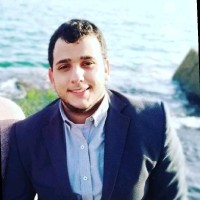 Hashem .M .Eldeeb
