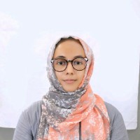 Sheik Hussain Nusrathul Husna