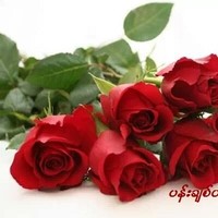 Myat Noe Nge