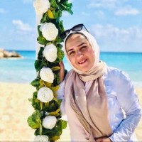 Noha Mohi  El-deen- MBA
