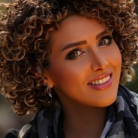 Neda Shahrara, Phd, Pe