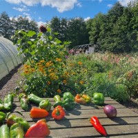 Vanessa Ross Russell