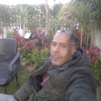 محمد مصطفي بلال