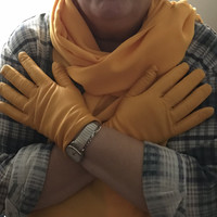 Jane Nesseth