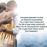 Mohamed Amin