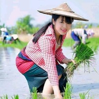S K Arif