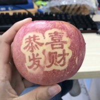 田佳奇
