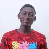 Stephen Opoku Amoah