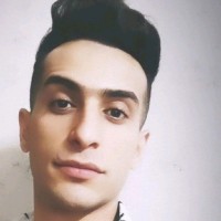 Hamidreza Momtaz
