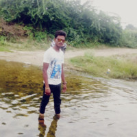 shak davood