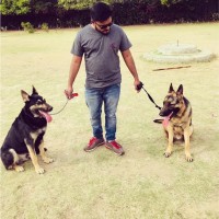 Abhishek Panchal