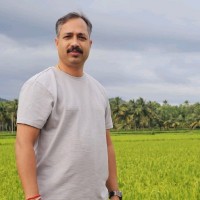 Aneesh Ns