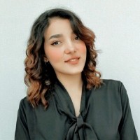 ِِAlaa Murshed
