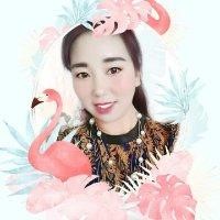 杨秋利