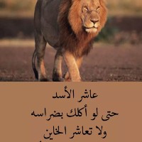 Mahamat Senoussi