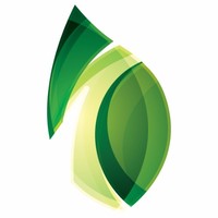 Yeşilonline Interactive