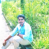 Bibin Raj
