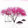 羅永翰