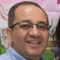 Emad Guerguis