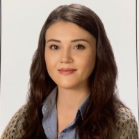 Yasemin Erdem