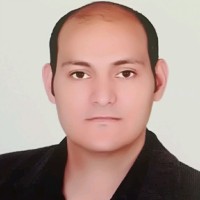 Hany Elsabbagh