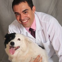 Leandro Z. Crivellenti